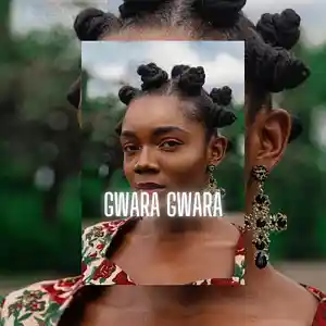 Picture for song '"Gwara Gwara" Amapiano Type Beat Afrobeat' by artist 'Kellobeats'