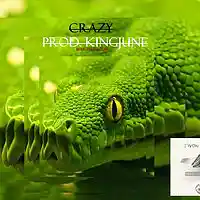 Picture for song 'Crazy (Sold) (Drill/Trap/Rap)' by artist 'King June'