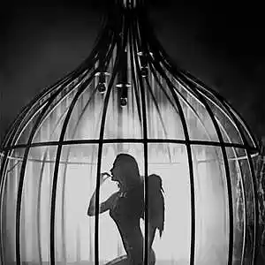 Picture for song 'Captured Souls - Summer Rain' by artist 'Lyrixx'
