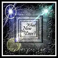 Picture for song 'What Now My Love (inst)' by artist 'Numi Who Creative Covers'
