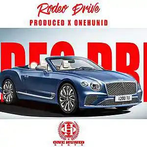 Picture for song 'RODEO DRIVE' by artist 'OneHunid Beats'