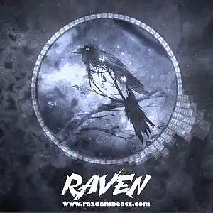 Picture for song 'RAVEN (BUY 1 GET 4 FREE)' by artist 'Razdam Beatz'