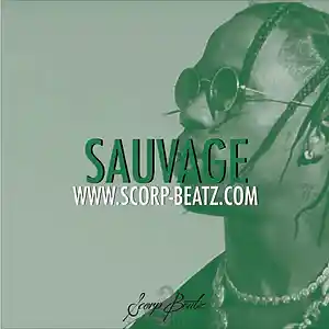 Picture for song 'SCORP BEATZ & RAZE - SAUVAGE' by artist 'Scorp Beatz'