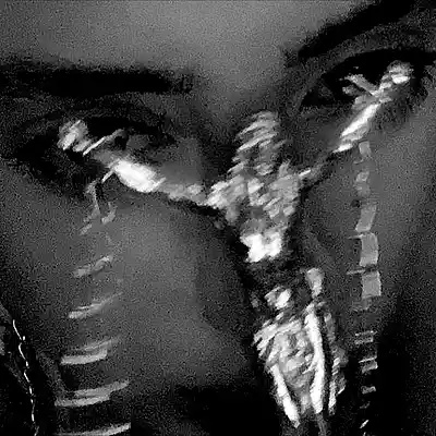 Picture for song 'Playboi Carti x Yeat Type Beat - LXVE' by artist 'TrueLove'