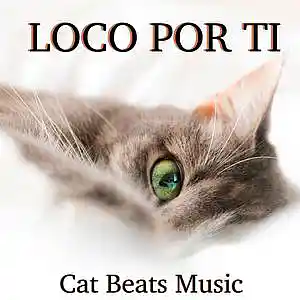 Picture for song 'Loco Por Ti' by artist 'Cat Beats'