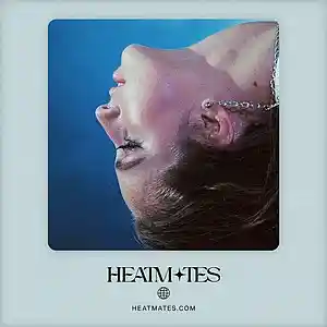 Picture for song 'Diamonds (Ariana Grande x Tate McRae)' by artist 'HEATMATES'