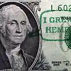 Picture for song 'bunting sessions' by artist 'Ill-Koncept entertainment'