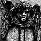 Picture for song 'The Potter's Field' by artist 'JAMES GRIMALDI'