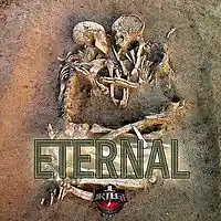 Picture for song 'Eternal ' by artist 'JL Ortega Beatz'