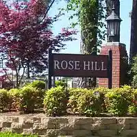 Picture for song 'Rose Hill Rising ((Stereo))' by artist 'Johanna Renfro'