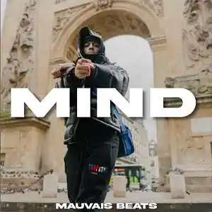 Picture for song 'MIND' by artist 'MAUVAIS BEATS'