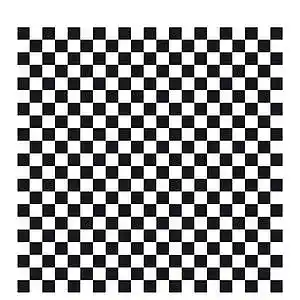 Picture for song 'Checkered Past' by artist 'Pete Moss and the Weed Wackers'