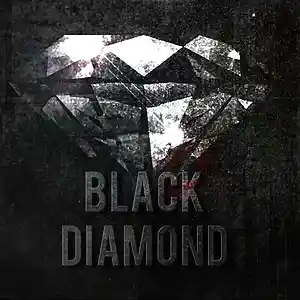 Picture for song 'BLACK DIAMOND - DARKTRAP TYPE BEAT' by artist 'Raky McFly'