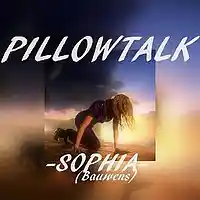 Picture for song 'PILLOWTALK' by artist 'Sophia Bauwens'