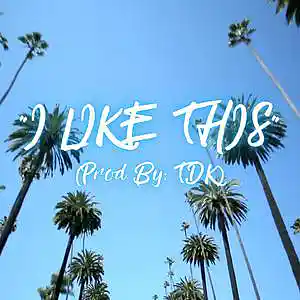 Picture for song 'I LIKE THIS (ISLAND VIBE) PARTY (GOOD VIBES)' by artist 'TDK'