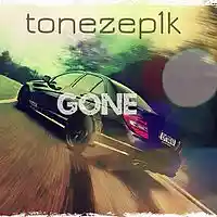 Picture for song 'GONE' by artist 'TONEzEp1K Pro'