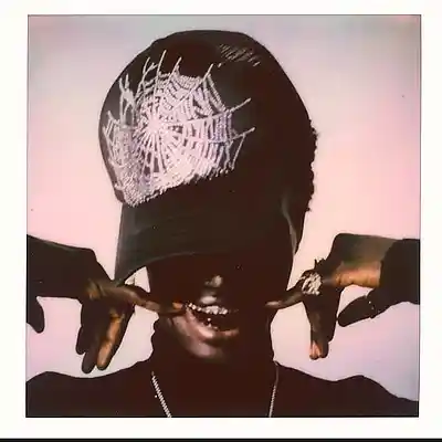 Picture for song 'Young Thug x Metro Boomin Type Beat - "spider web"' by artist 'Trippie KaY'