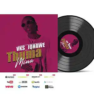 Picture for song 'Thuma mina Mp3' by artist 'VKS IQHAWE'
