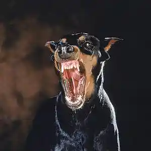 Picture for song 'DARK UK DRILL TYPE BEAT - "CHARBON"' by artist '8OAPE'