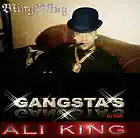 Picture for song 'ALI KING (BOSNIAN THUG) ringtone' by artist 'ALI KING92'
