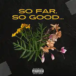 Picture for song 'Harm's Way (BUY 1 GET 4 FREE)' by artist 'Andrew's Beats'