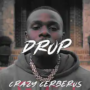 Picture for song 'Drop' by artist 'Crazy Cerberus'
