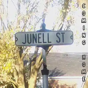 Picture for song 'J.D. Black Label Blues' by artist 'Junell Street'