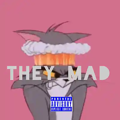 Picture for song 'they mad' by artist 'Lew Paradise'