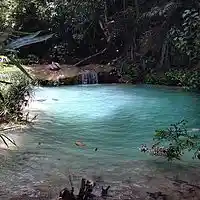 Picture for song 'WAVES (FREE DL)' by artist 'Lil Sammy Beats'