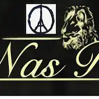 Picture for song 'La Marseillo-Guyanaise' by artist 'NSK et Nas R'