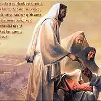 Picture for song 'Martha Meets Jesus' by artist 'Peter Kosta's Galaxy Rock Band'