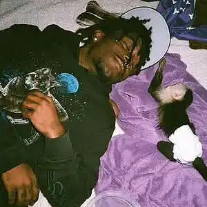 Picture for song 'oppers' by artist 'prod. enzo'