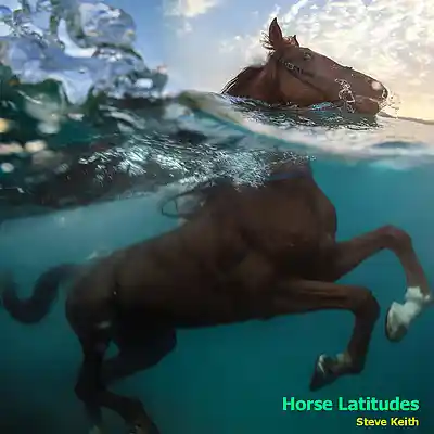 Picture for song 'Horse Latitudes of Life' by artist 'Steve Keith'