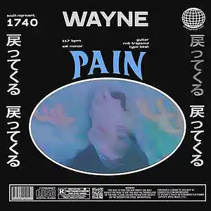 Picture for song 'pain' by artist 'wayne.prods'