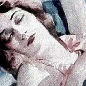 Picture for song 'memo' by artist 'ZimmerMusic'