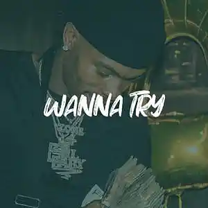 Picture for song 'Lil Baby x Future Type Beat - "WANNA TRY"' by artist 'ErieBeats'