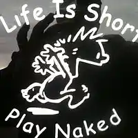 Picture for song 'I Smoke - TC Crook' by artist 'Icon Entertainment Groups'