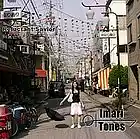 Picture for song 'fine tune' by artist 'Imari Tones'