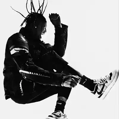 Picture for song 'FALL - TYPE TRAVIS SCOTT x DON TOLIVER' by artist 'nijaytheunique'