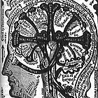 Picture for song 'Brainstorm Falafel' by artist 'RADIO-LAB'