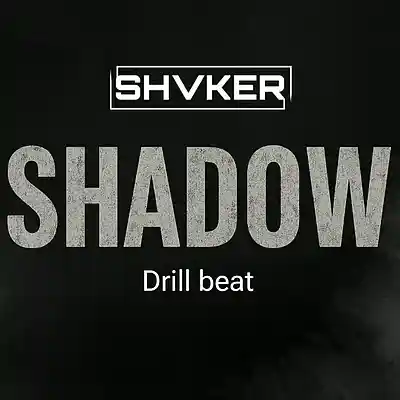 Picture for song 'Shadow' by artist 'shvker beats'