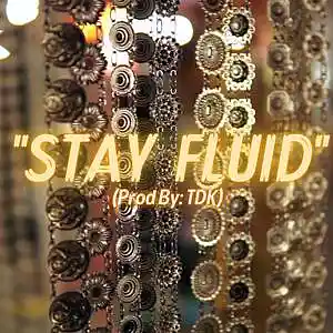 Picture for song 'STAY FLUID (BOLLYWOOD) BELLYDANCE' by artist 'TDK'