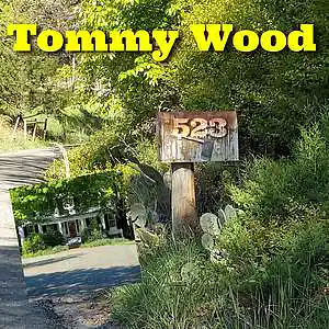 Picture for song 'Hook Line And Sinker' by artist 'Tommy Wood'