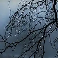 Picture for song 'GIVE UP(PROD.whoDeany & YP)' by artist 'whoDeanyBeatz'