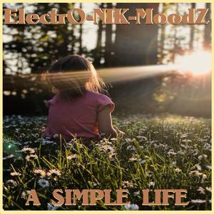 Picture for song 'Human Data Stream' by artist 'ElectrO-NIK-MoodZ'