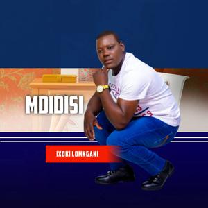 Picture for song 'Baba No Mama' by artist 'MDIDISI'