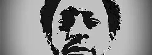 cover pic