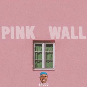 Picture for song 'Afro-Beat Type Beat Instrumental 2022 "PINK WALL"' by artist '5aldo'