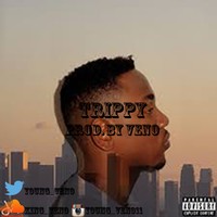 Picture for song 'Trppy - kendrick type beat Prod. By veno' by artist 'Bass God'