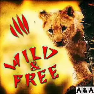 Picture for song 'Wild & free' by artist 'Cocoband'